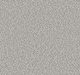 Century+Fossil+7179