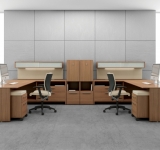global princeton workstation