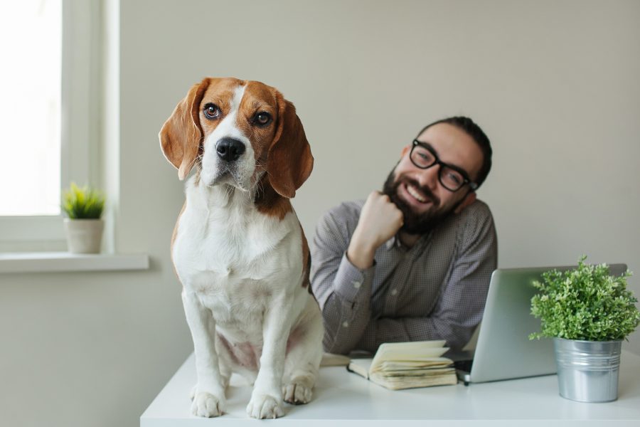 The 11 Most Dog Friendly Offices In The U.S.