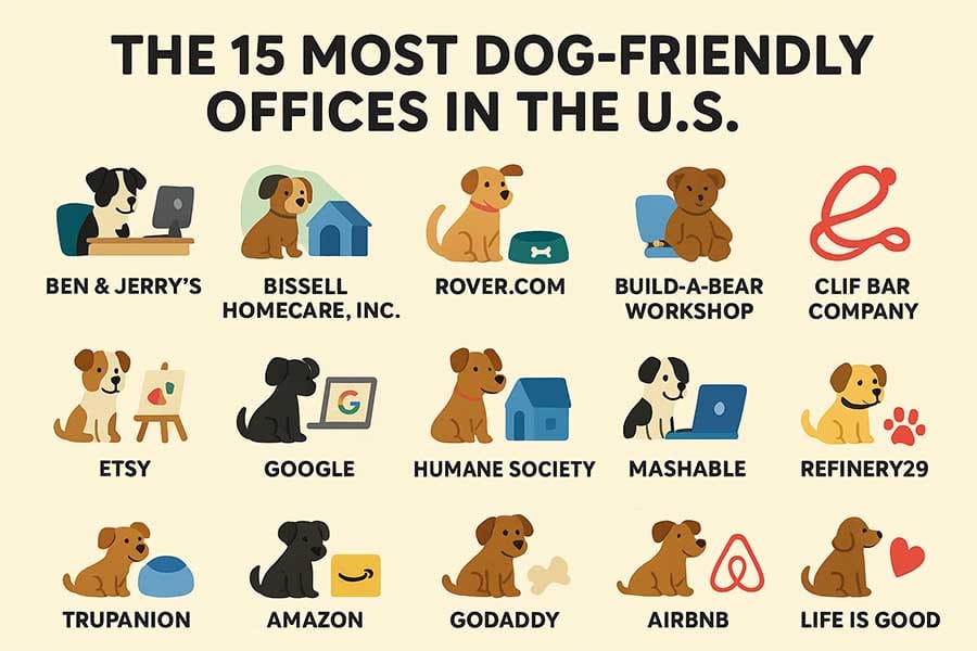 The 15 Most Dog Friendly Offices