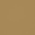 BL22-Parchment-SM