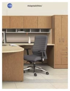 thumbnail of Global Adaptabilities Laminate
