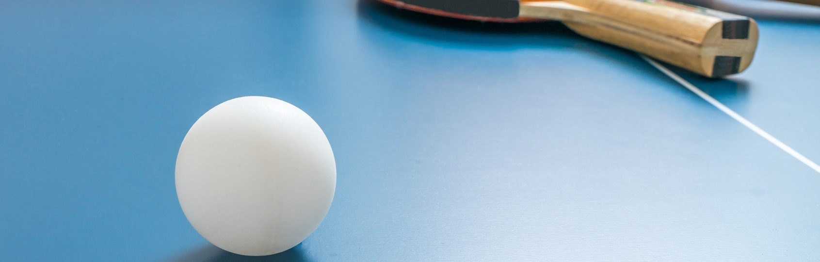 Free Ping Pong Table With Your Purchase