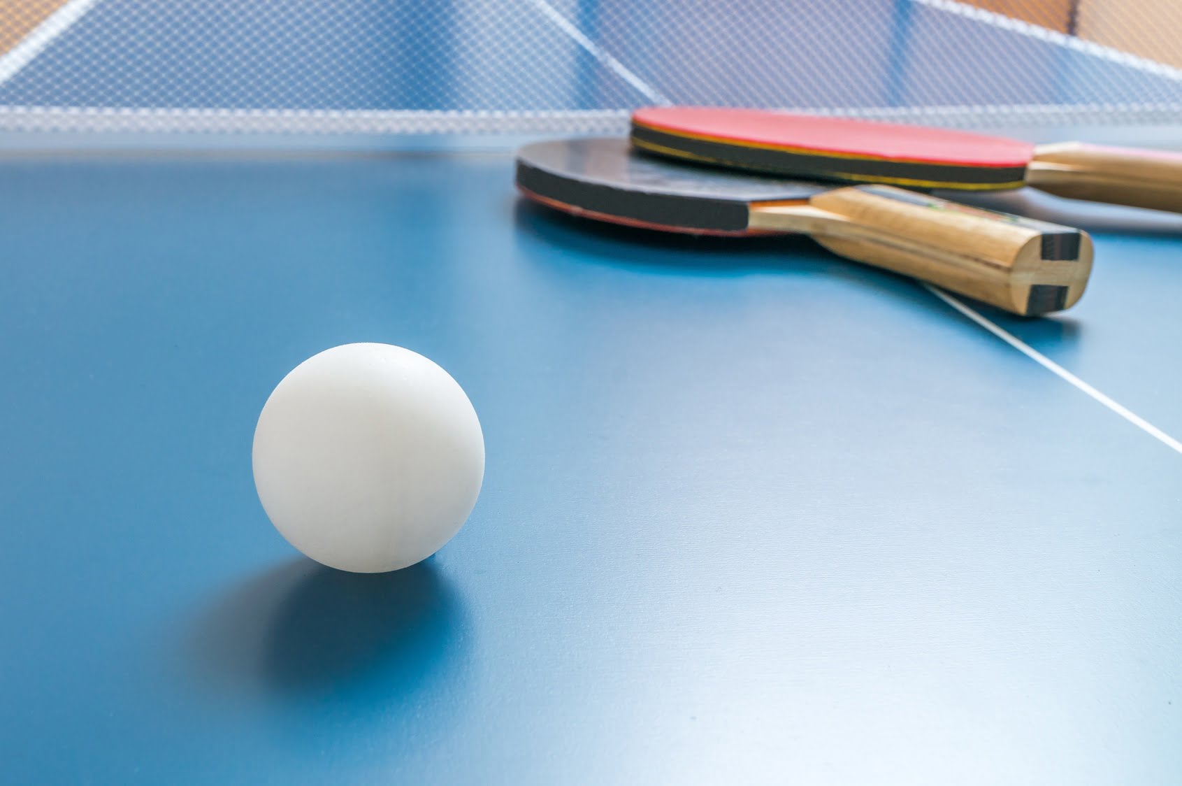 Free Ping Pong Table With Your Purchase