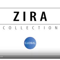 Introduction Video to Zira by Global Cover Image