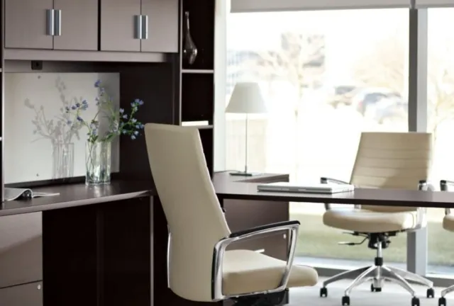 Zira Desk