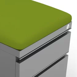 Swatch for Aloe Green cushions.