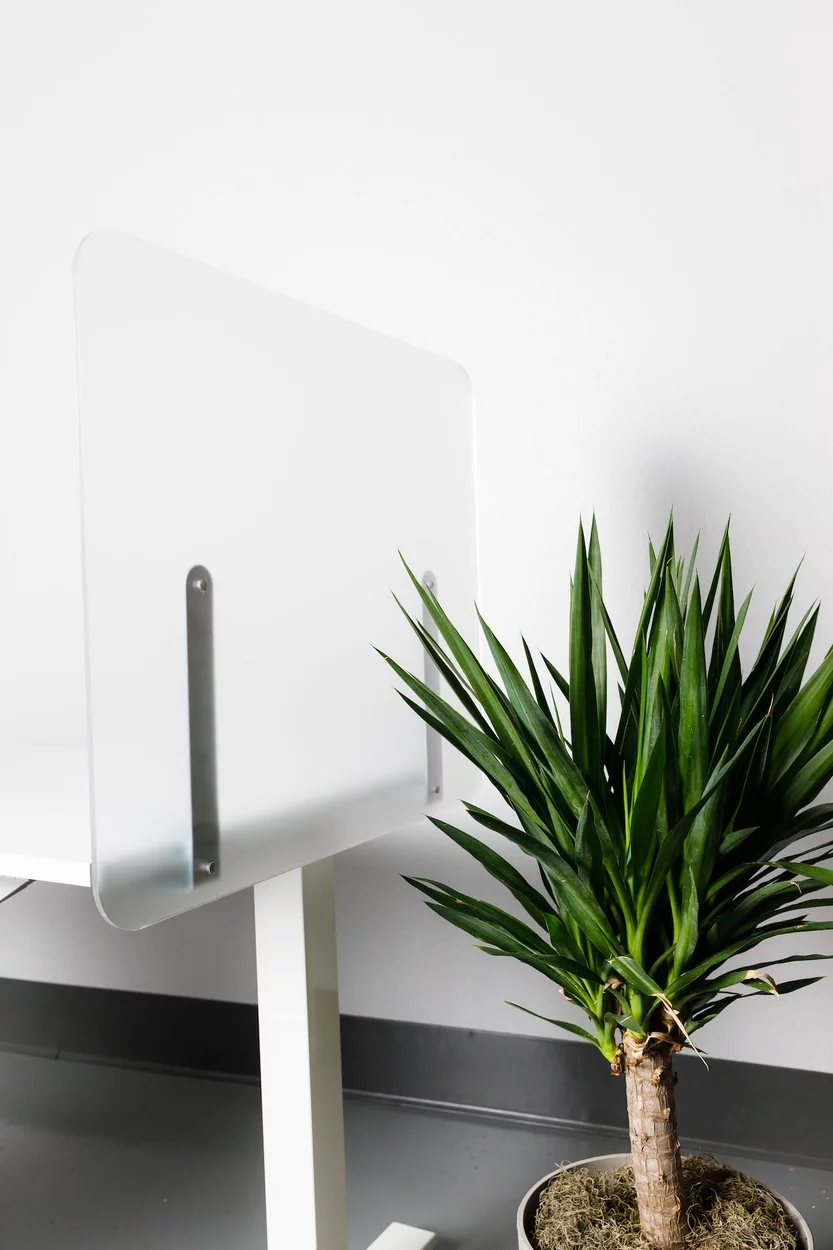 Closeup showing the side of a desk, which has a Shelter acrylic screen added to it. A large potted plant is on the floor just nearby.