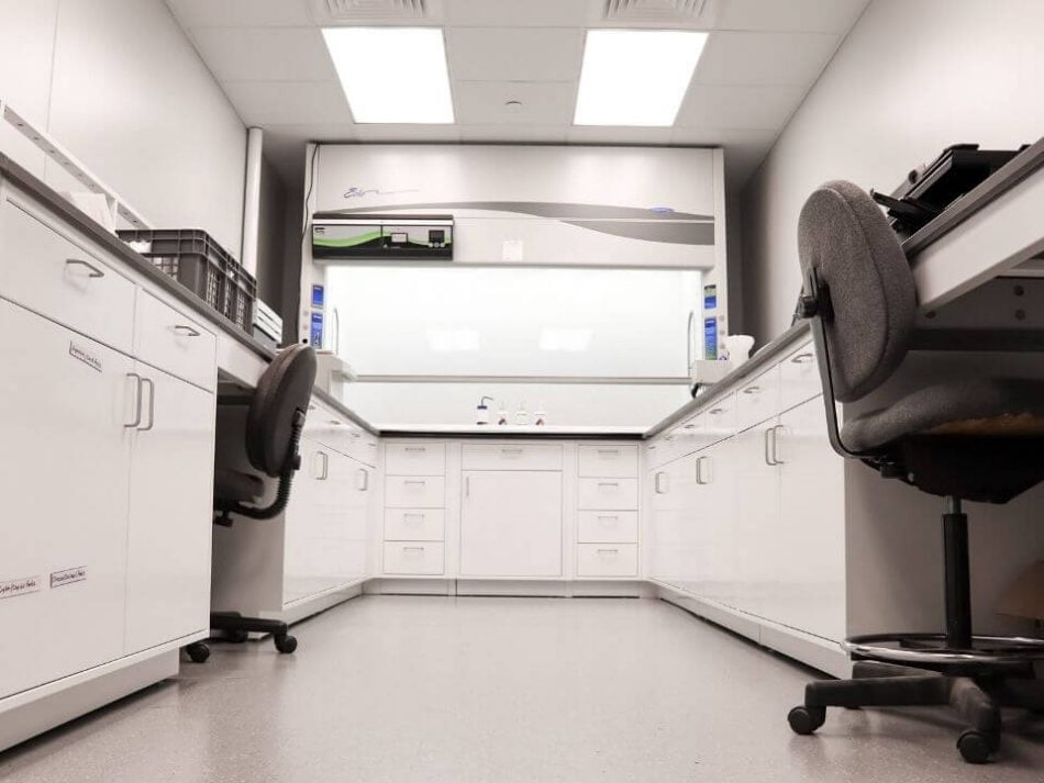 clean new laboratory with white finishes and fume hood