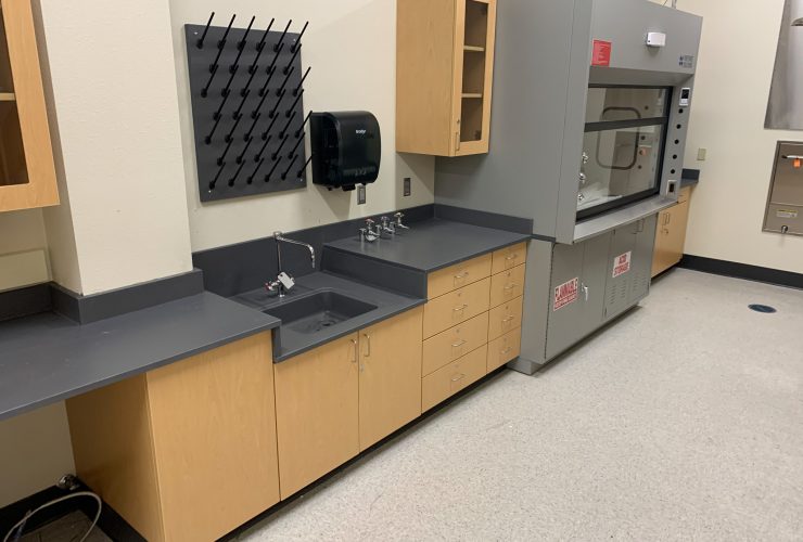clean and new laboratory with maple finishes and grey fume hood