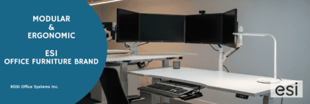 ESI office furniture brand