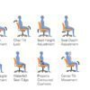 offices to go 11692 mesh ergonomic chair adjustments graphic