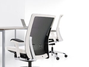 Ergonomic Desk Chairs Austin TX